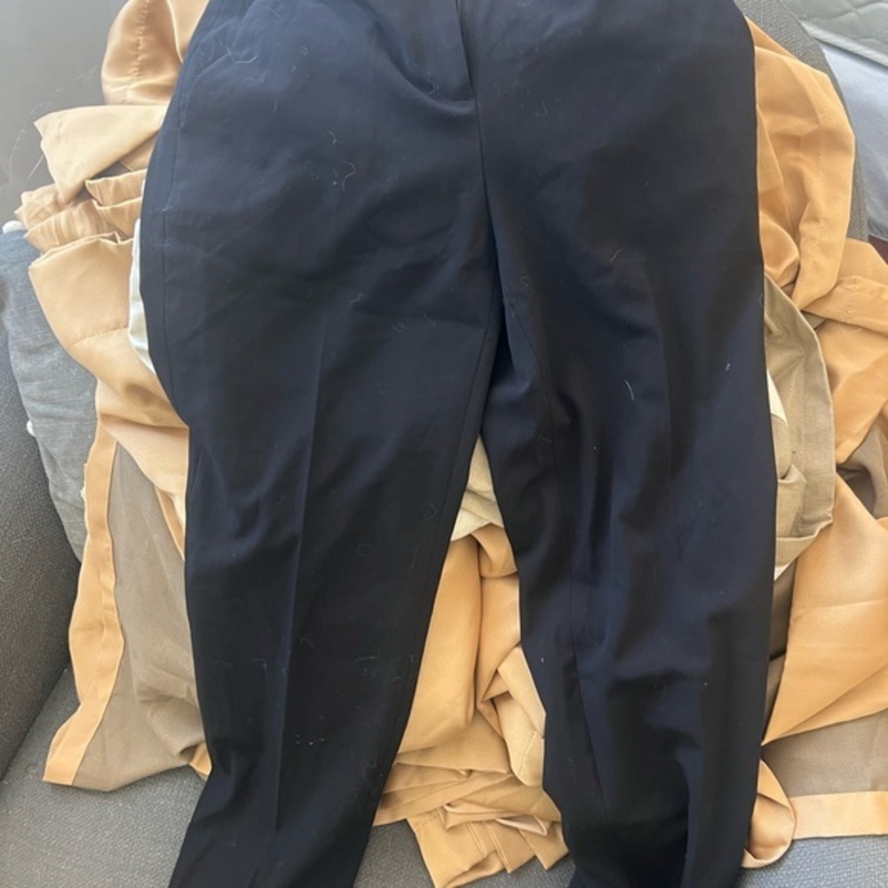 The Limited Slim Ankle Dress Pants
